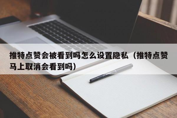 推特点赞会被看到吗怎么设置隐私（推特点赞马上取消会看到吗） 第1张