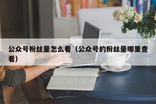 公众号粉丝量怎么看（公众号的粉丝量哪里查看） 第1张