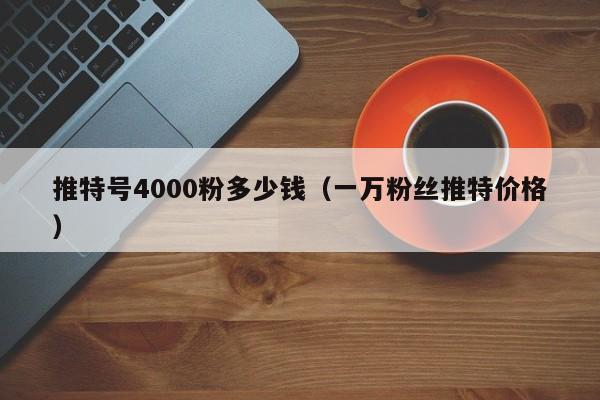 推特号4000粉多少钱（一万粉丝推特价格） 第1张