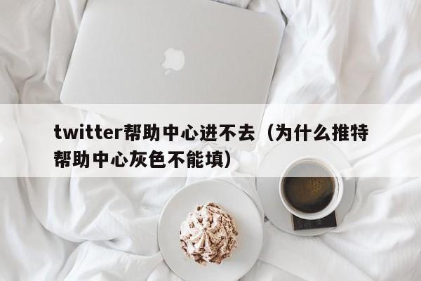 twitter帮助中心进不去（为什么推特帮助中心灰色不能填） 第1张