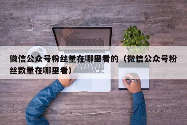 微信公众号粉丝量在哪里看的（微信公众号粉丝数量在哪里看） 第1张