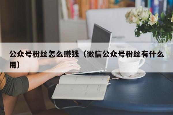 公众号粉丝怎么赚钱（微信公众号粉丝有什么用） 第1张