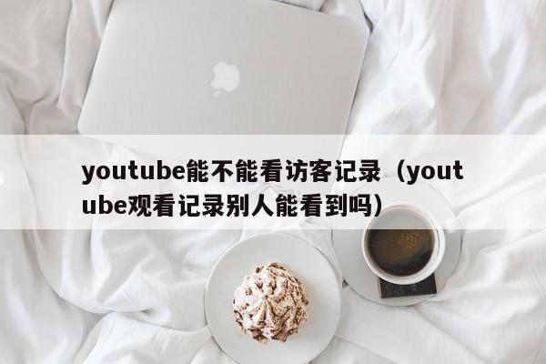 youtube能不能看访客记录（youtube观看记录别人能看到吗） 第1张