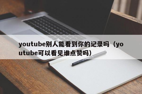 youtube别人能看到你的记录吗（youtube可以看见谁点赞吗） 第1张