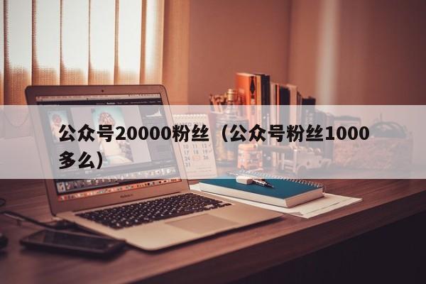 公众号20000粉丝（公众号粉丝1000多么） 第1张