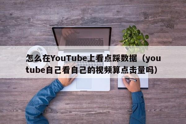 怎么在YouTube上看点踩数据（youtube自己看自己的视频算点击量吗） 第1张