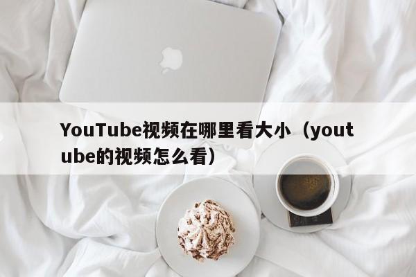 YouTube视频在哪里看大小（youtube的视频怎么看） 第1张