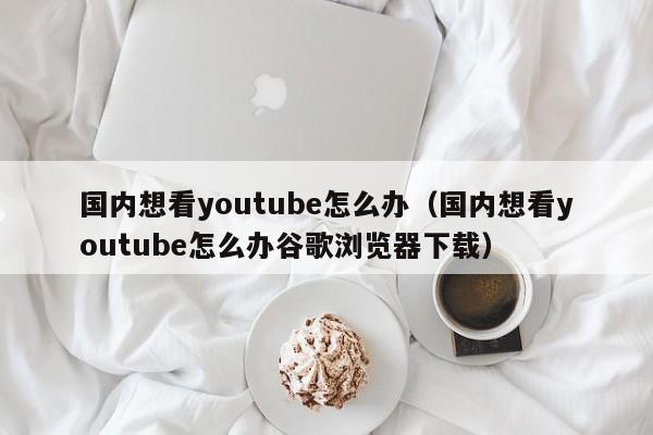 国内想看youtube怎么办（国内想看youtube怎么办谷歌浏览器下载） 第1张