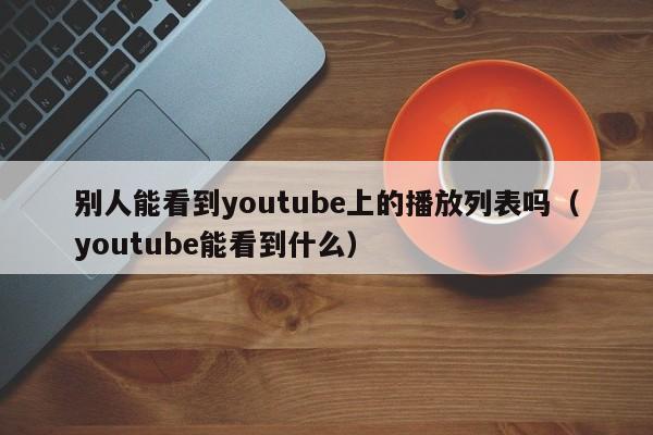 别人能看到youtube上的播放列表吗（youtube能看到什么） 第1张