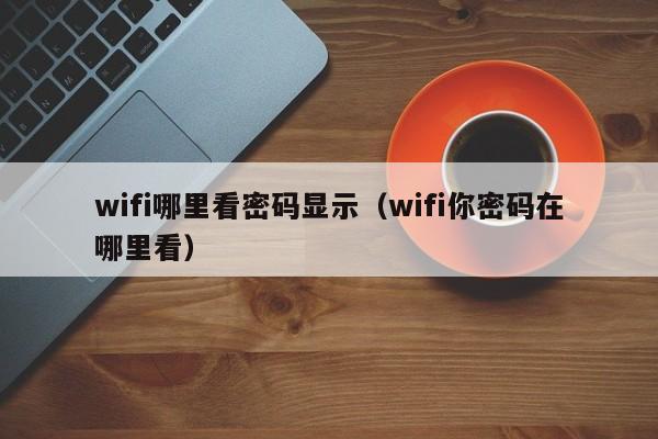 wifi哪里看密码显示（wifi你密码在哪里看） 第1张