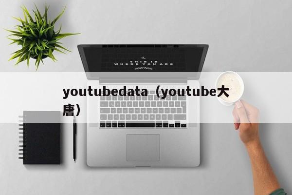 youtubedata（youtube大唐） 第1张